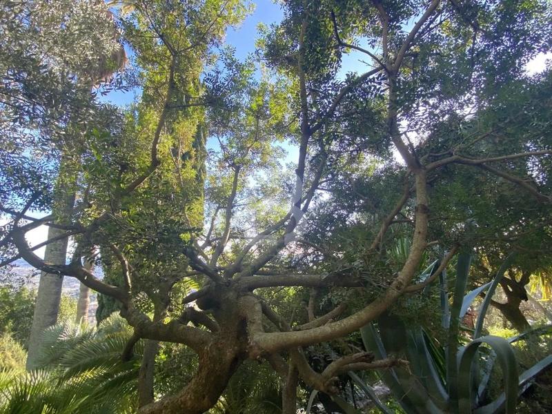 Maison - 322 m² - 10 pièces