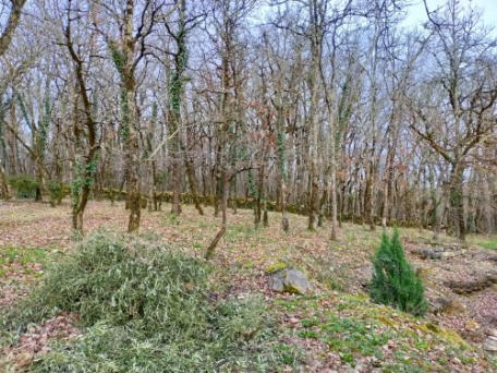 Maison - 138 m² - 5 pièces