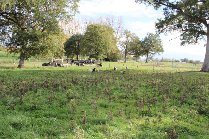 Longère - 110 m² - 5 pièces