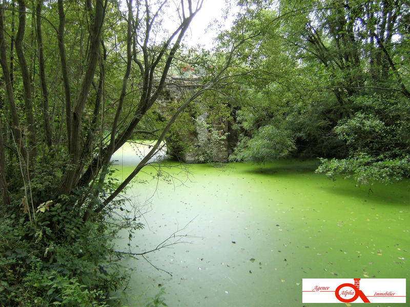 Maison ancienne - 77 m² - 2 pièces