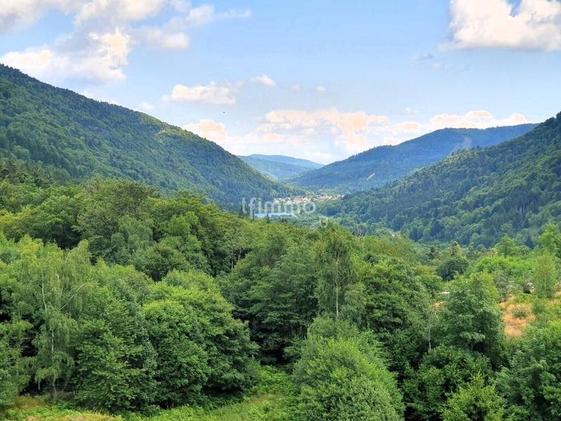 Immeuble - 594 m² - 30 pièces