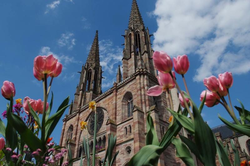 Obernai Version Aoc - ville et cave