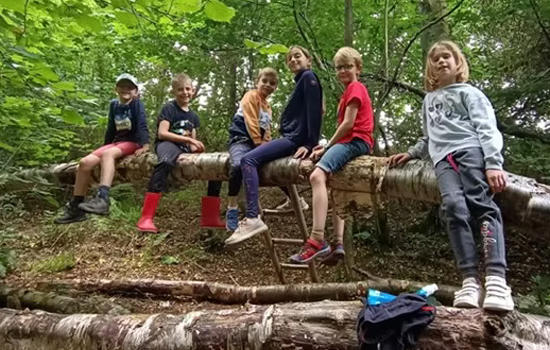 Stage nature : la vie sauvage