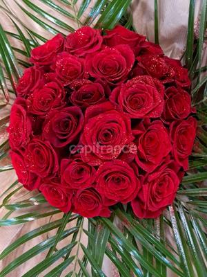 Fonds de commerce - Magasins - 50 m²