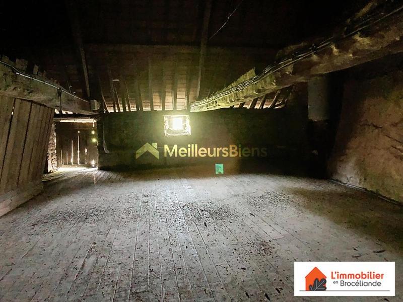 Longère - 198 m² - 9 pièces