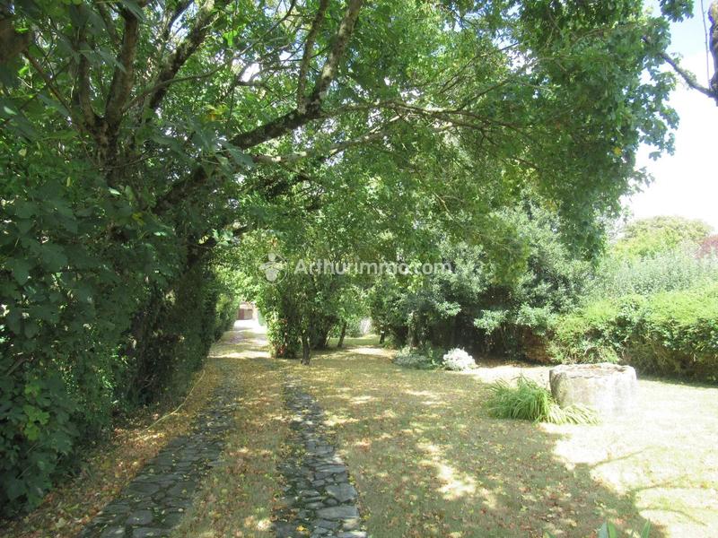 Maison - 274 m² - 8 pièces