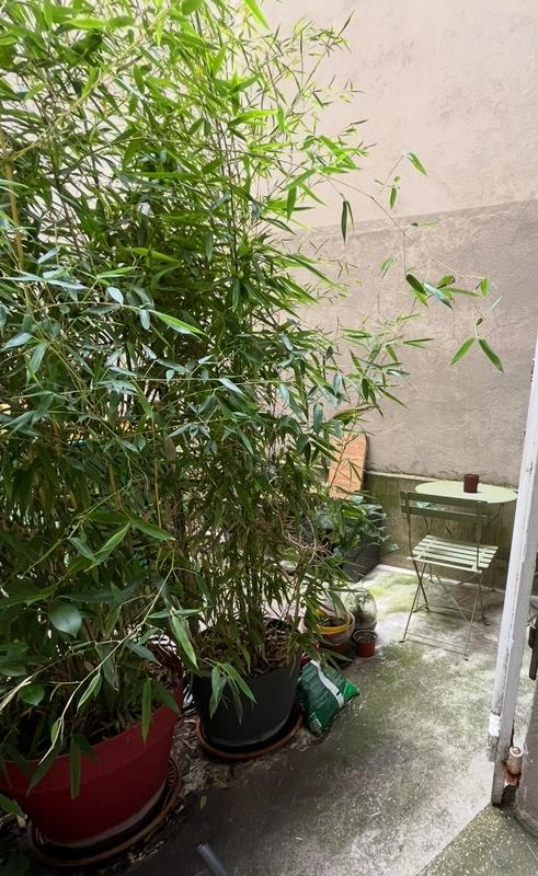 Appartement - 30 m² - 2 pièces