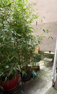 Appartement - 30 m² - 2 pièces