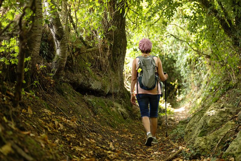 Randonnée pédestre