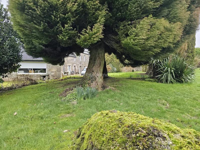 Maison - 204 m² - 8 pièces