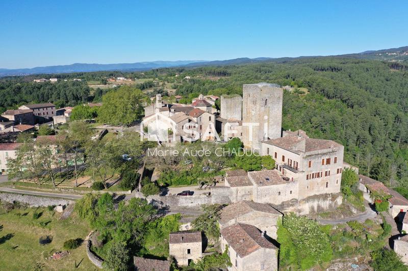 Château - 800 m² - 15 pièces