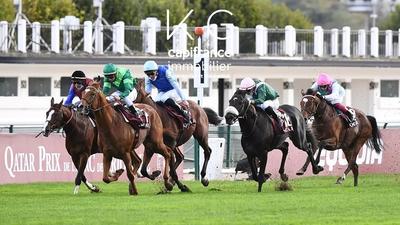 Fonds de commerce - 219 m²