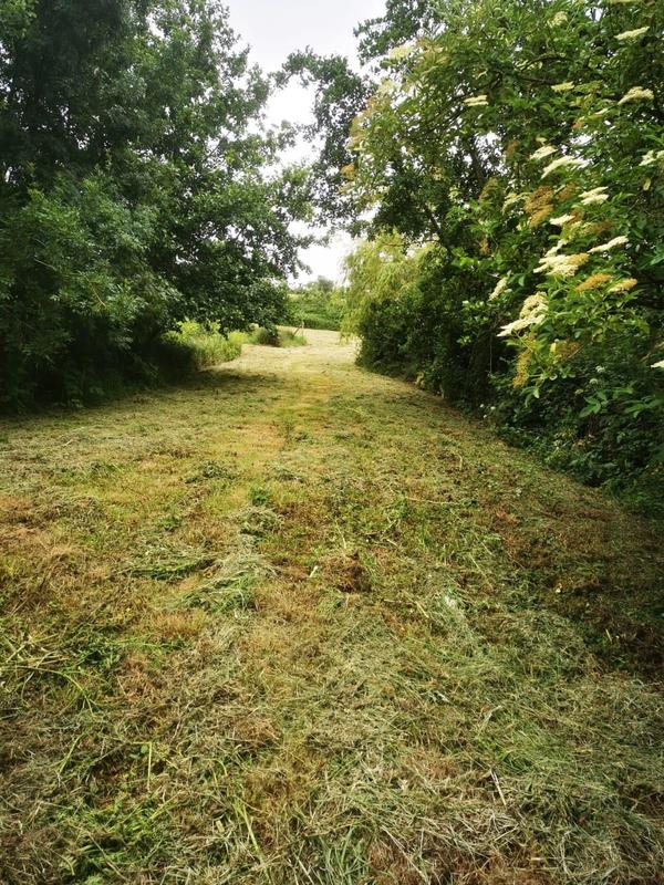 Terrain de loisirs - 9 295 m²