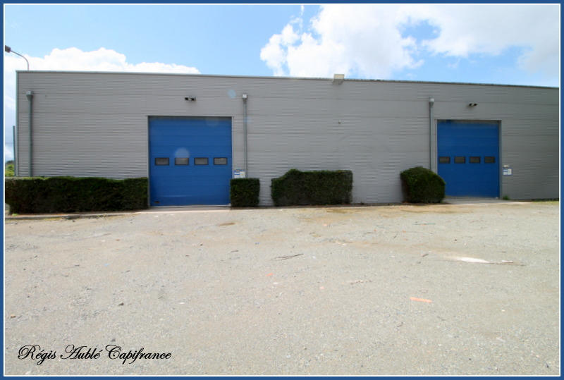 Entrepôt - 866 m² - 12 pièces