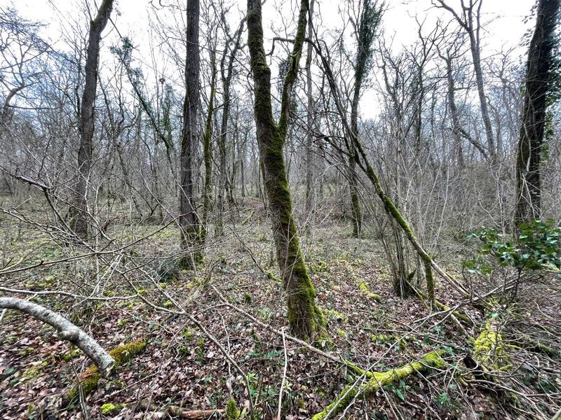 Terrain - 82 016 m²