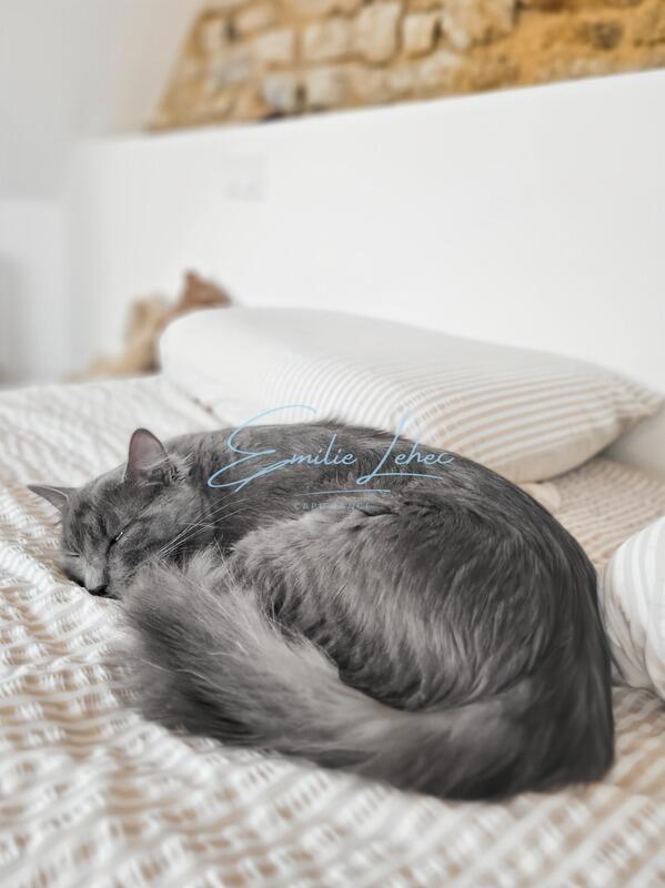 Maison - 220 m² - 7 pièces