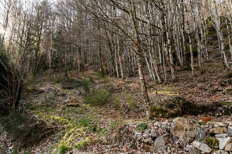 Maison - 37 m² - 1 pièce