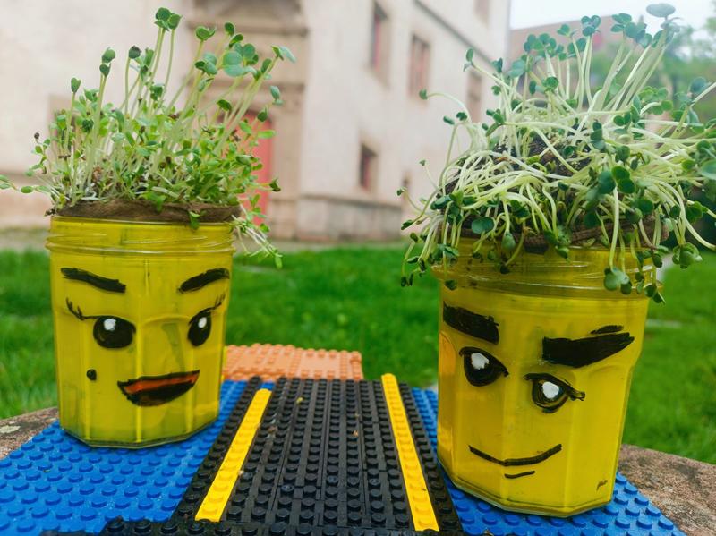 Atelier enfant : Tête à pousser