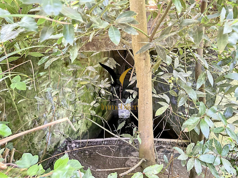 Maison ancienne - 180 m² - 4 pièces