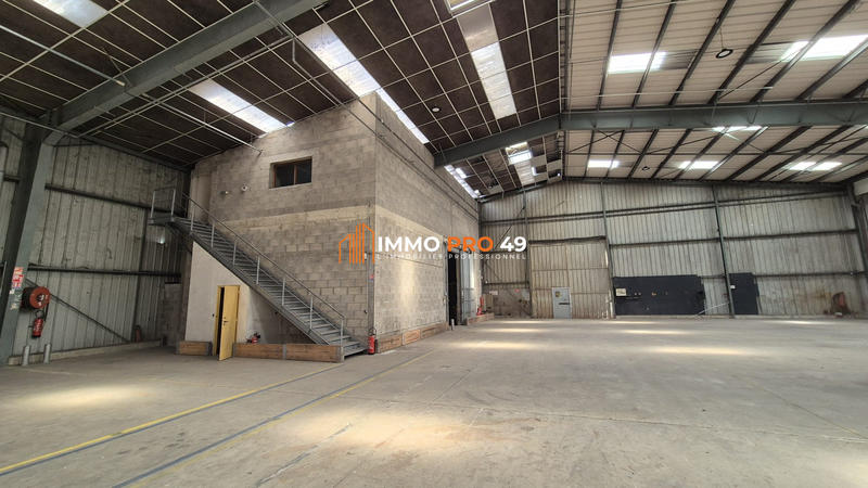 Entrepôt - 9 500 m²