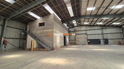Entrepôt - 9 500 m²