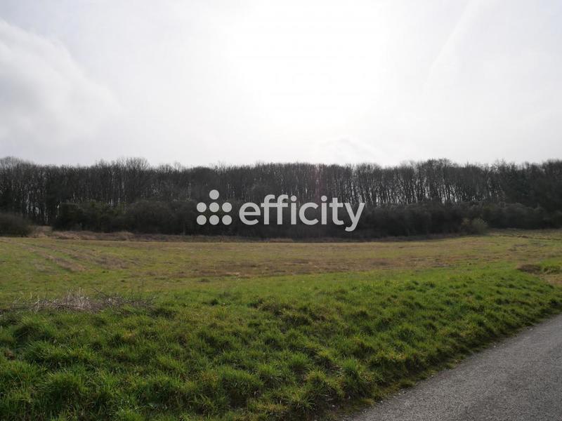 Terrain - 10 469 m²