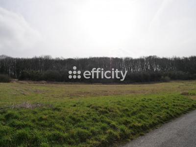 Terrain - 10 469 m²
