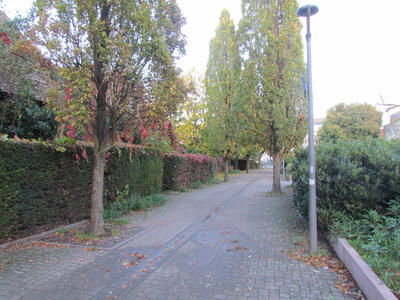 Immeuble - 301 m² - 5 pièces