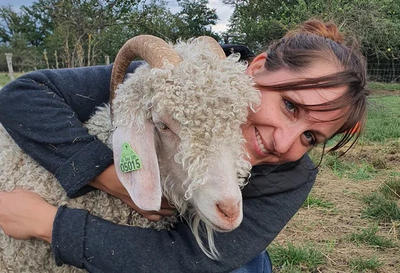 Vente directe d’articles en laine mohair