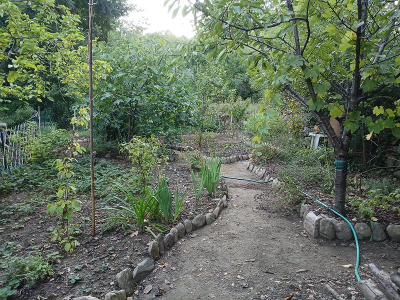 Maison de village - 147 m² - 7 pièces