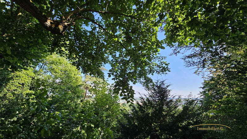 Loft - 54 m² - 1 pièce