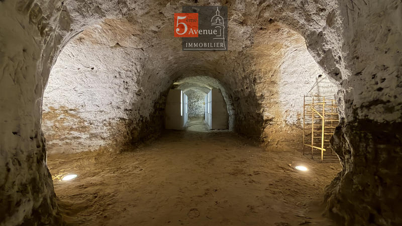 Maison - 550 m² - 15 pièces