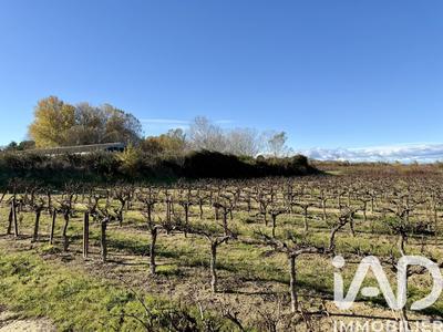 Terrain agricole - 13 528 m²