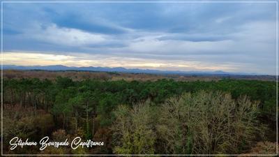 Propriété - 300 m² - 10 pièces