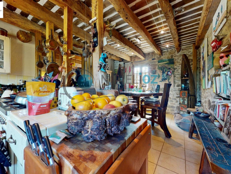 Viager - Maison - 259 m² - 8 pièces