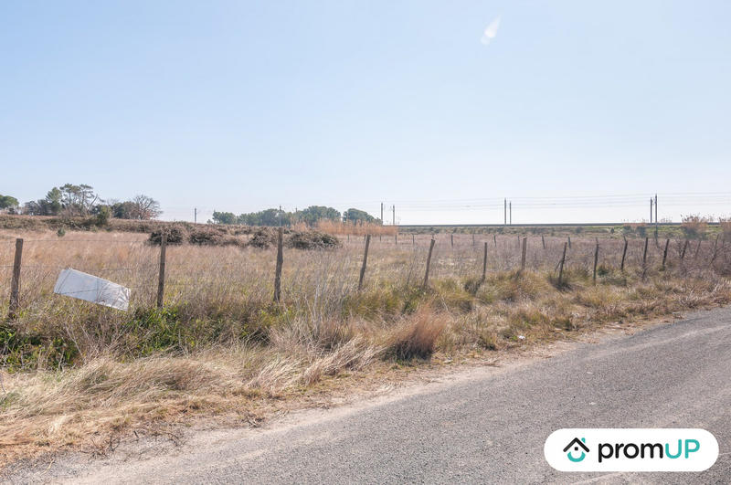 Terrain agricole - 5 000 m²