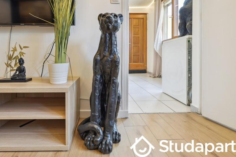 Appartement - 50 m² - 2 pièces