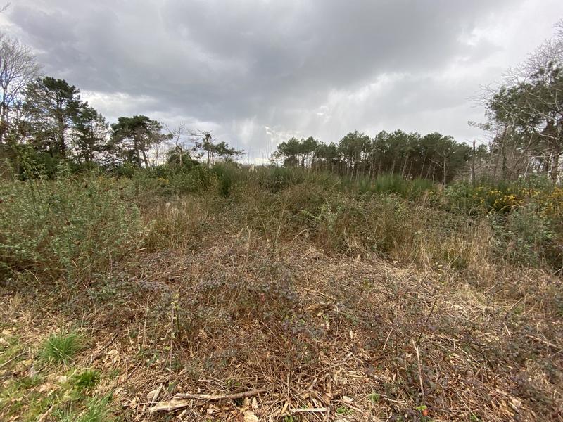 Terrain agricole - 5 123 m²