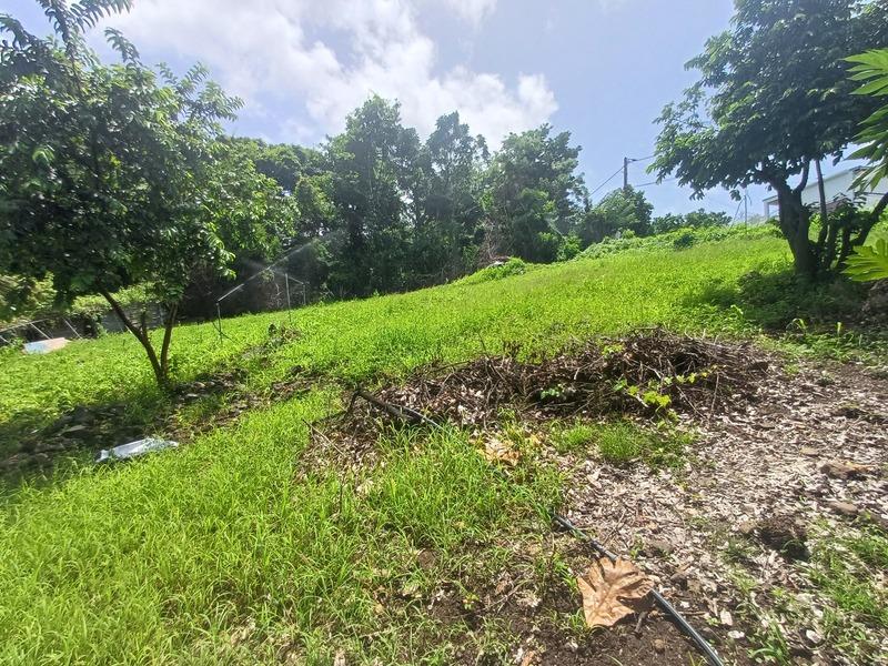 Terrain constructible - 1 056 m²