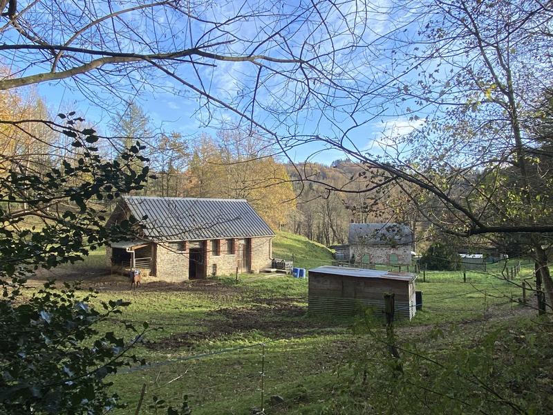 Maison ancienne - 100 m² - 4 pièces