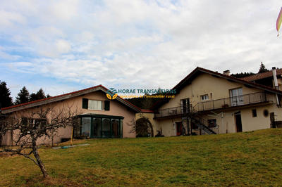 Maison - 323 m² - 15 pièces