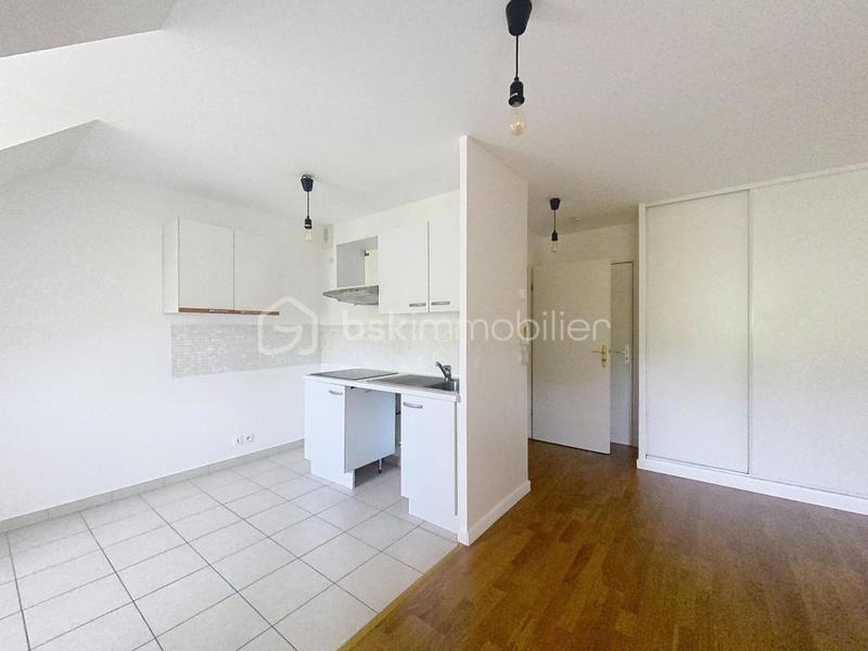 Studio - 24 m² - 1 pièce