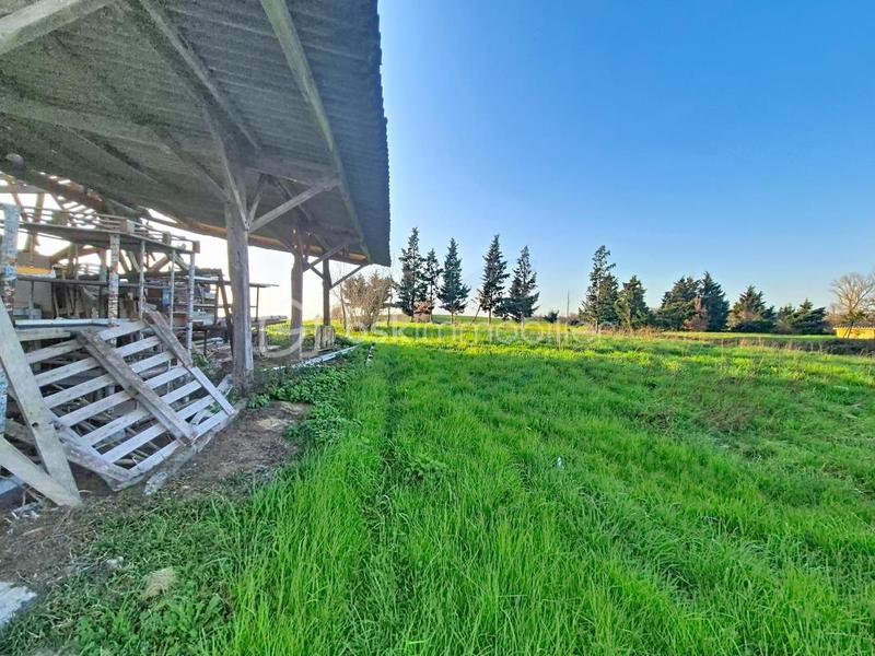 Ferme - 100 m² - 4 pièces