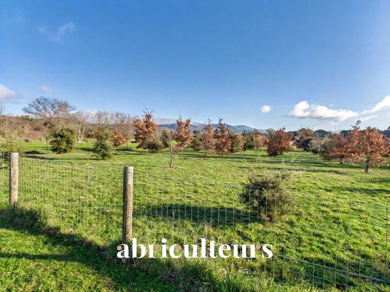 Maison - 170 m² - 5 pièces