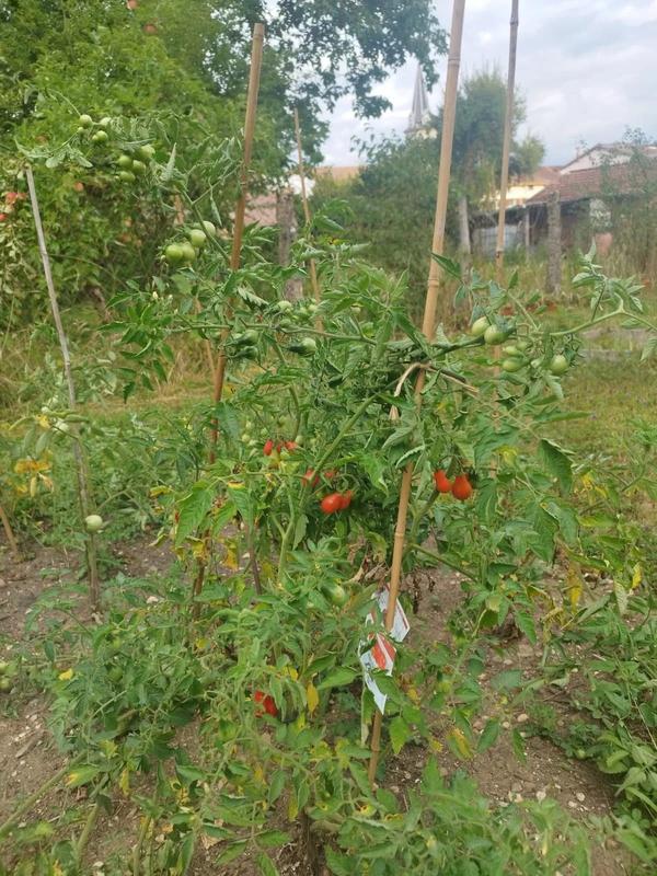 Maison - 70 m² - 4 pièces