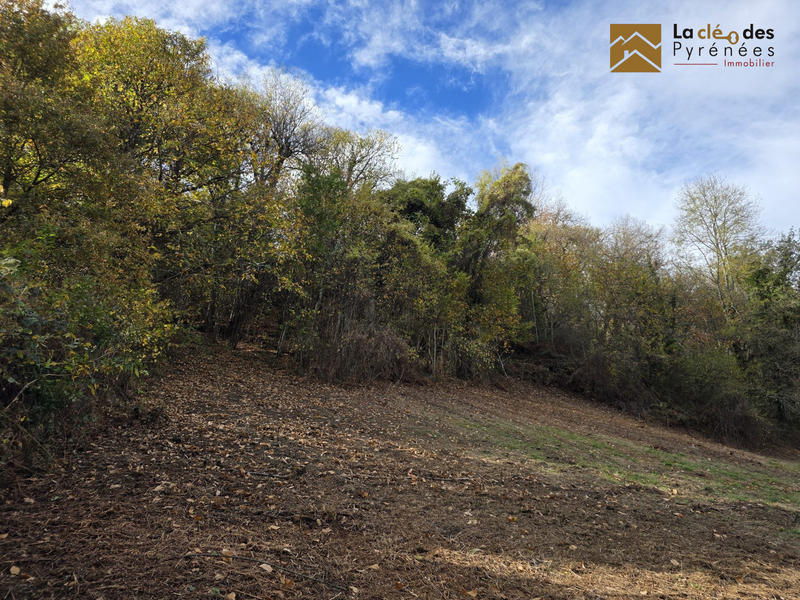 Maison ancienne - 85 m² - 1 pièce