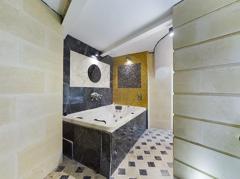Hôtel particulier - 501 m² - 15 pièces