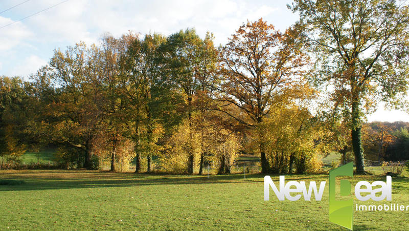 Terrain constructible - 1 668 m²