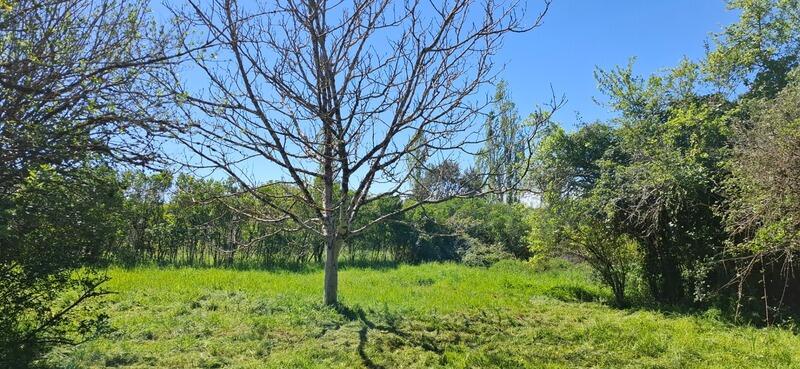 Maison - 52 m² - 2 pièces