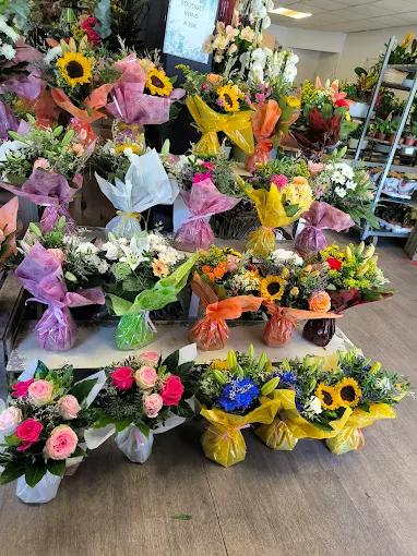 Agapanthe et Compagnie